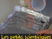Les Petits Scientifiques