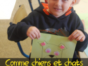 Comme Chients et Chats