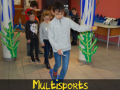 Multisports